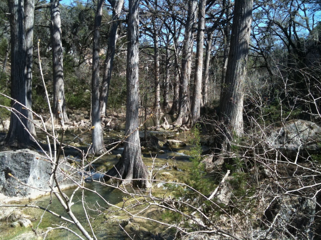 2010-03-12-Hamilton Pool-13.jpg